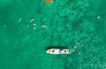 Tortuga Island Snorkeling Boat Tour from Santa Teresa Costa Rica