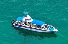 Tortuga Island Snorkeling Boat Tour from Santa Teresa Costa Rica