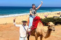 Tangier in One Day with seaside views, Camel Ride and Medina Tour