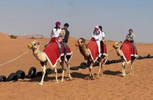 Dubai Private Evening Desert Safari , Camel Ride & BBQ Dinner