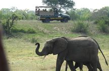 4 Day Kruger National Park Shared Wildlife Adventure