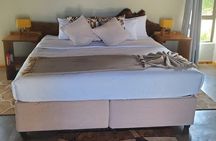 4 Day Kruger National Park Shared Wildlife Adventure