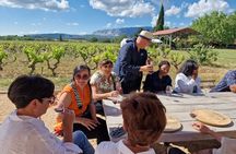 Cotes de Provence Wine Tour from Aix-en-Provence