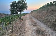 Berat Private Sunset Tour with Wine and Fruits