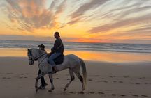 Beach Ride in Tamraght and Taghazout
