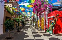  VIP in Puerto Plata Explore with Darwin