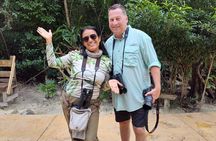 Bird Watching Tour in Cozumel