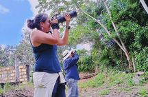 Bird Watching Tour in Cozumel