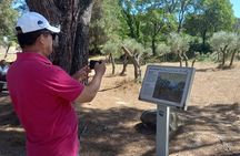 Arles, Les Baux and Saint Remy de Provence from Marseille