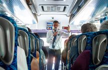 Full-Day Dubai Sightseeing Tour with Lunch from Dubai 