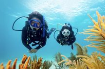 Anguilla Based:Complete your PADI Open Water Dives 3 & 4 with us