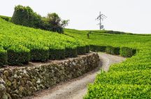 Full Day E Bike Tour through Kyotos Countryside