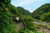 Full Day E Bike Tour through Kyotos Countryside