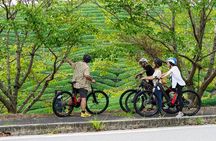 Full Day E Bike Tour through Kyotos Countryside