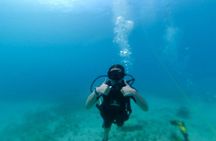 Anguilla Based:Complete your PADI Open Water Dives 3 & 4 with us