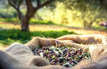 Argostoli & Beyond: Villages, Olive Oil & Honey Tasting