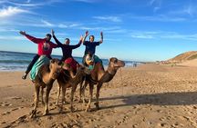 Exclusive Tangier Experience Quad Bike Camel Ride and Dinner Show