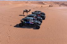 Morning Desert Safari Tour with Camel Ride Quad Bike, Dune Drive