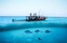 Mnemba Island Private Boat – Snorkel & Dolphin Adventure