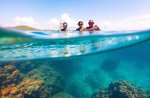 Ras Mohamed and White Island 2 Dives Day Trip in Sharm El Sheikh