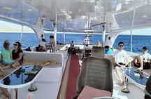 Ras Mohamed and White Island 2 Dives Day Trip in Sharm El Sheikh