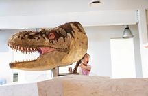 Drumheller Tour with Museum Tickets, Dinosaurs and Historic Sites