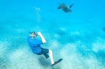 Molokini Crater & Turtle Town Snorkel & Waterslide Adventure