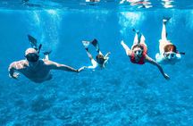 Molokini Crater & Turtle Town Snorkel & Waterslide Adventure