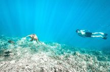 Small Group Coral Gardens Snorkel & Waterslide Adventure
