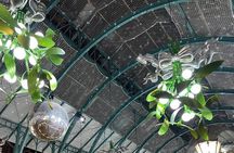 London Christmas Lights Tour By Private Black Taxi