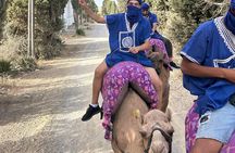 Quad and Camel Ride Adventure in Tangier