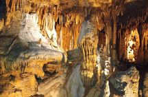 Cave Tour and Dino Trail on a Crystal Cave Adventure