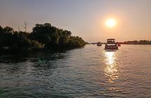 Victoria Falls Private Zambezi River Birdwatching Safari