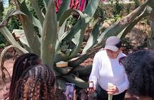 Exclusive Teotihuacán Pyramids, Cave & Hot Air Balloon Ride