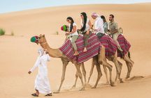 Shared Doha Desert Safari Fun, Thrills and Beautiful Views