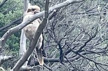 Deep Creek Hike: Trails and Tales with a Foreign Flair