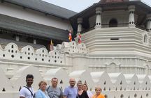 Kandy Day Tour from Ahungalla,kosgoda,bentota,beruwalla