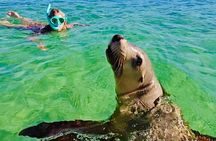 Turquoise Coast and Pinnacles Desert Private day Tour from Perth