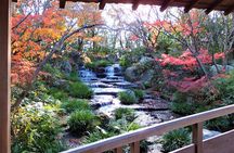 Half Day Tour in Himeji Castle and Koko-en