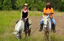 Horseback Riding in Hopkins
