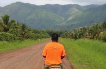 Horseback Riding in Hopkins