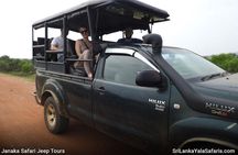 Yala National Park Tour from Hambantota Port Janaka Safari