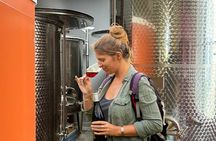 Montpellier Wine Tasting Experience