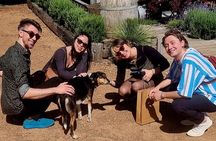 WAIHEKE ZEITGEIST Small Groups Ultra Boutique Off Grid Wine Tours