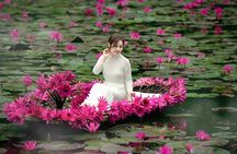 Ninh Binh Full-Day Tour from Hanoi to Hoa Lu, Tam Coc & Mua Cave