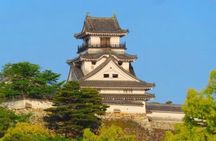 Private Kochi Shore Excursion 