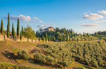 Golf Cart Tour Highlights of Florence and the Hills