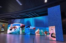 Customized Shenzhen City Tour with Flexible Itinerary