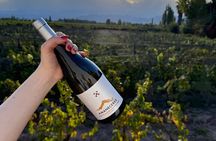 Mendoza Wine Tasting at Bodega Ciclo Andino with Snacks