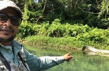 Chitwan Jungle Safari from Kathmandu and Back Multi Day Tour
